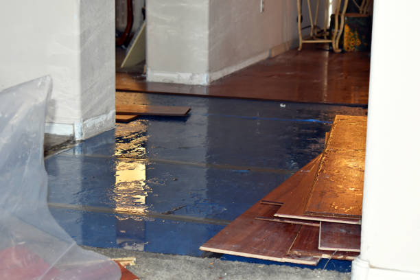 Professional Burst Pipe Cleanup technician working in Demarest, NJ